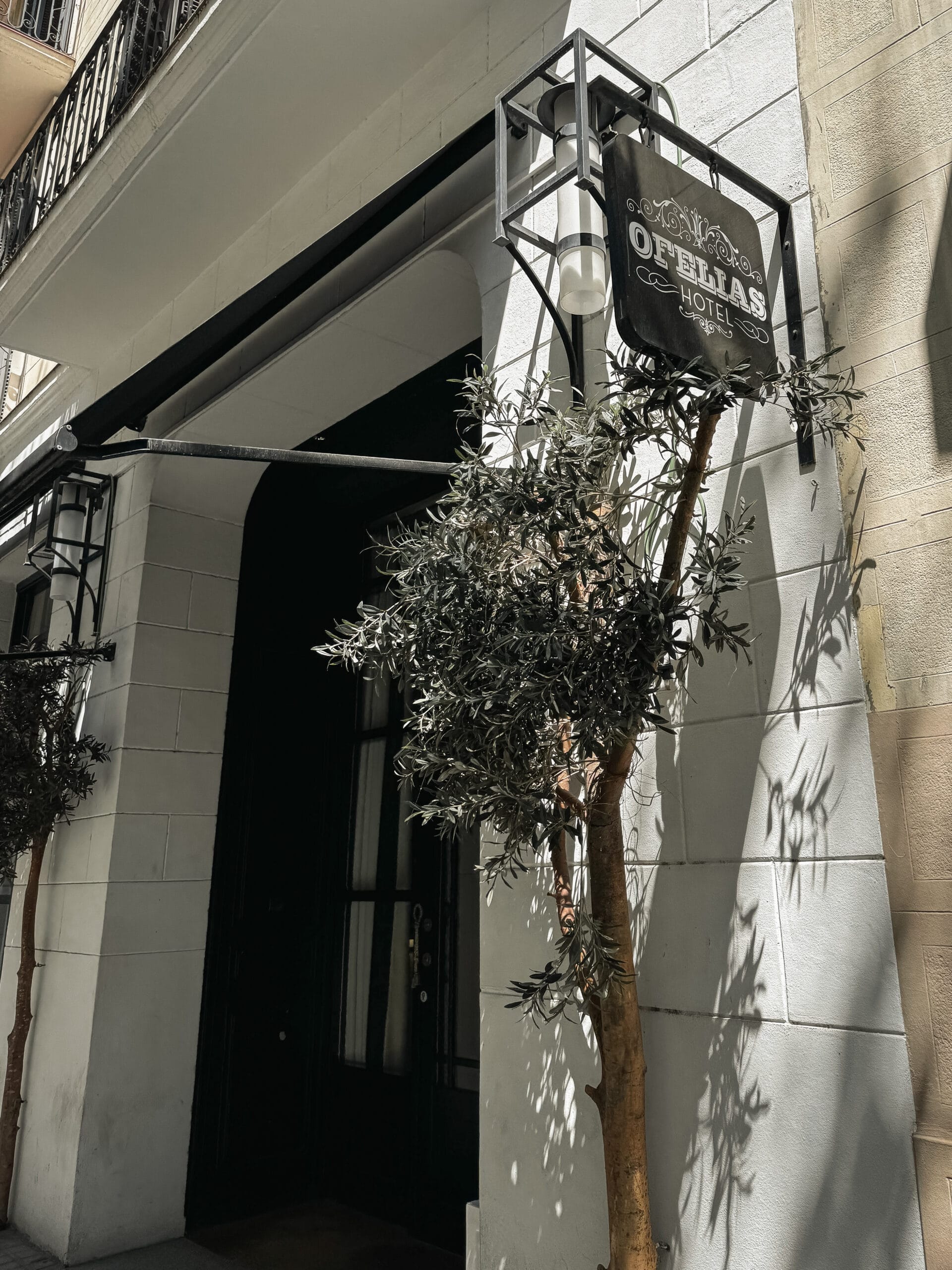 IMG_9176-scaled Laura's Lens