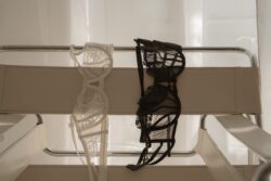 laura's lens photography 3