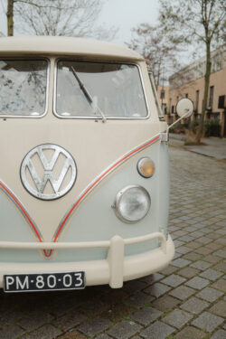 laura's lens photography 4